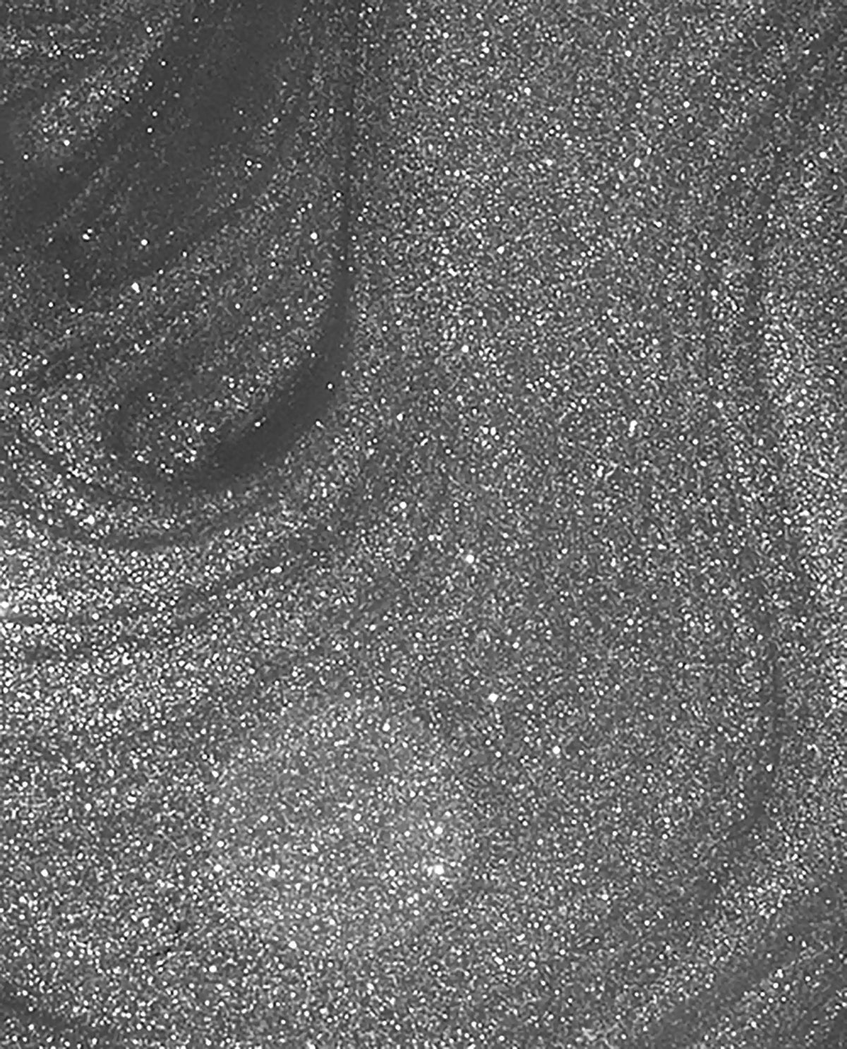 Bare My Soul
